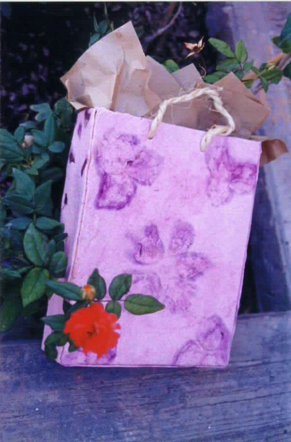 Bolsa para regalo